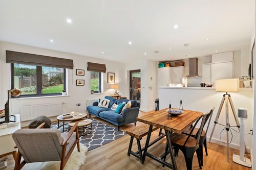 Living room and kitchen