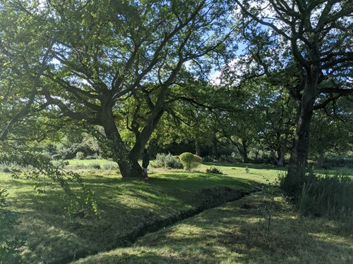 Epping Forest